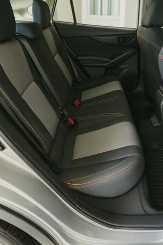 Car Detailing Mold Removal Cost: Affordable Solutions